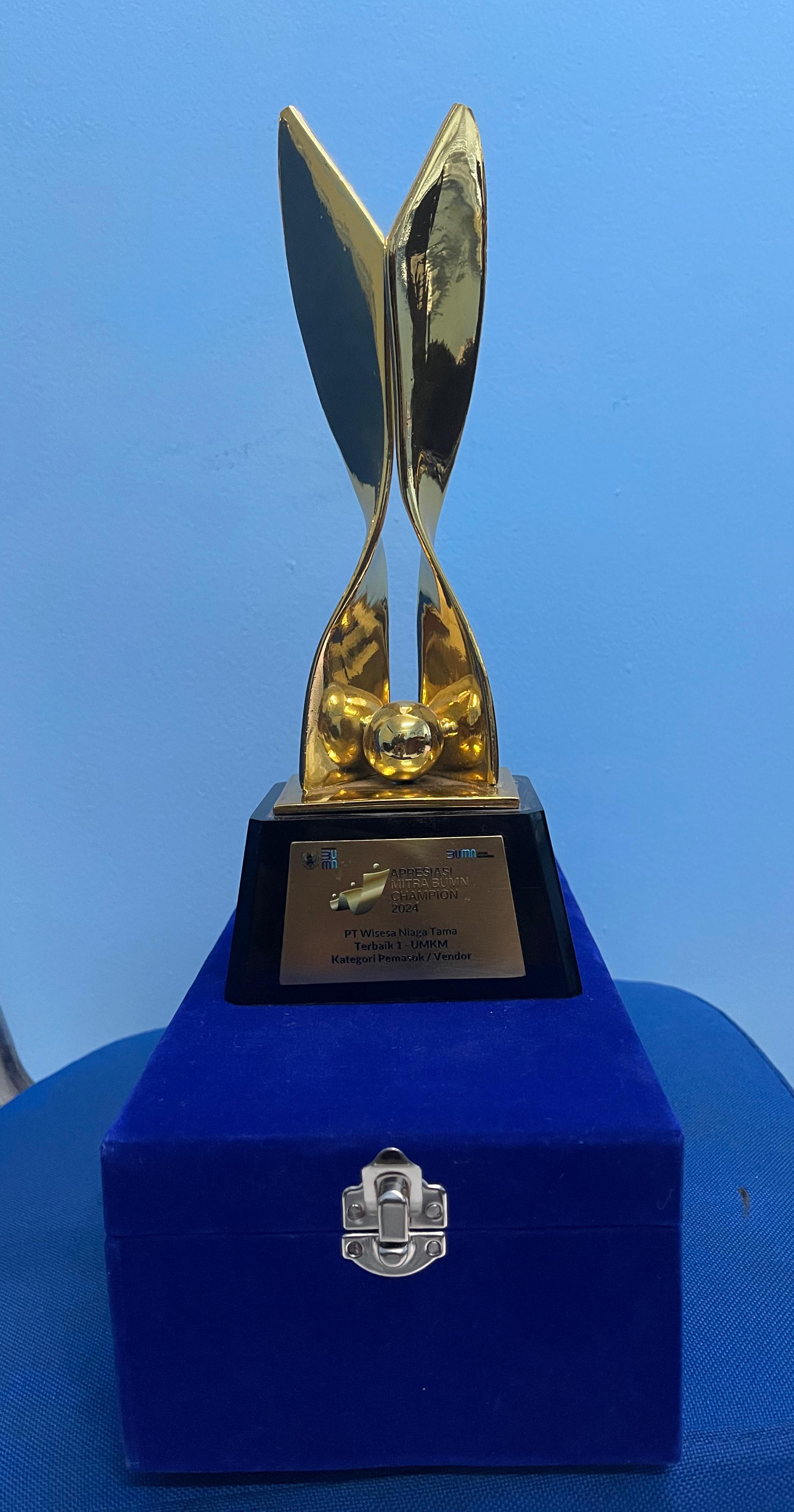 BUMN Champion 2024